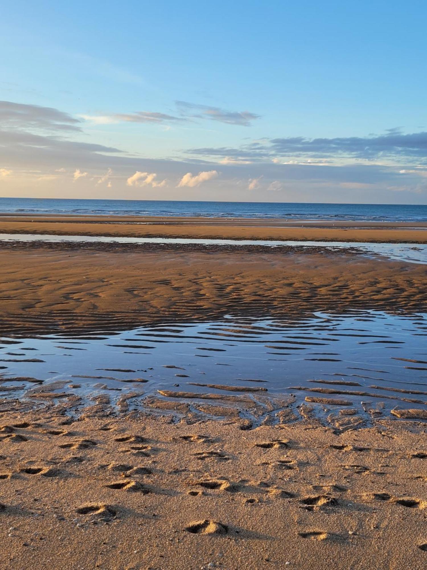 "Mon Evidence!" Magnifique Appartement Vue Mer Et Acces Direct A La Plage 滨海维莱 外观 照片